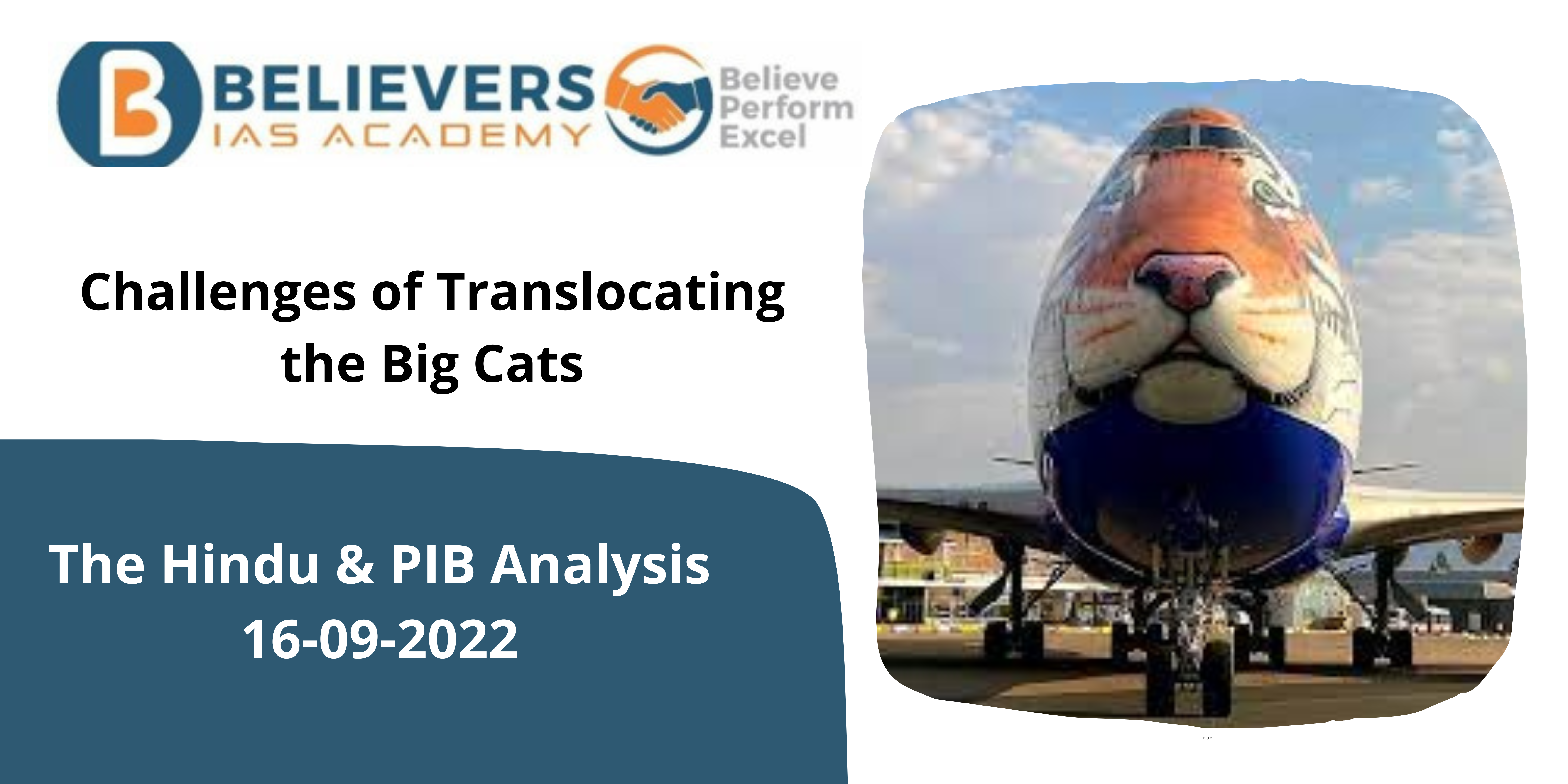 Challenges of Translocating the Big Cats