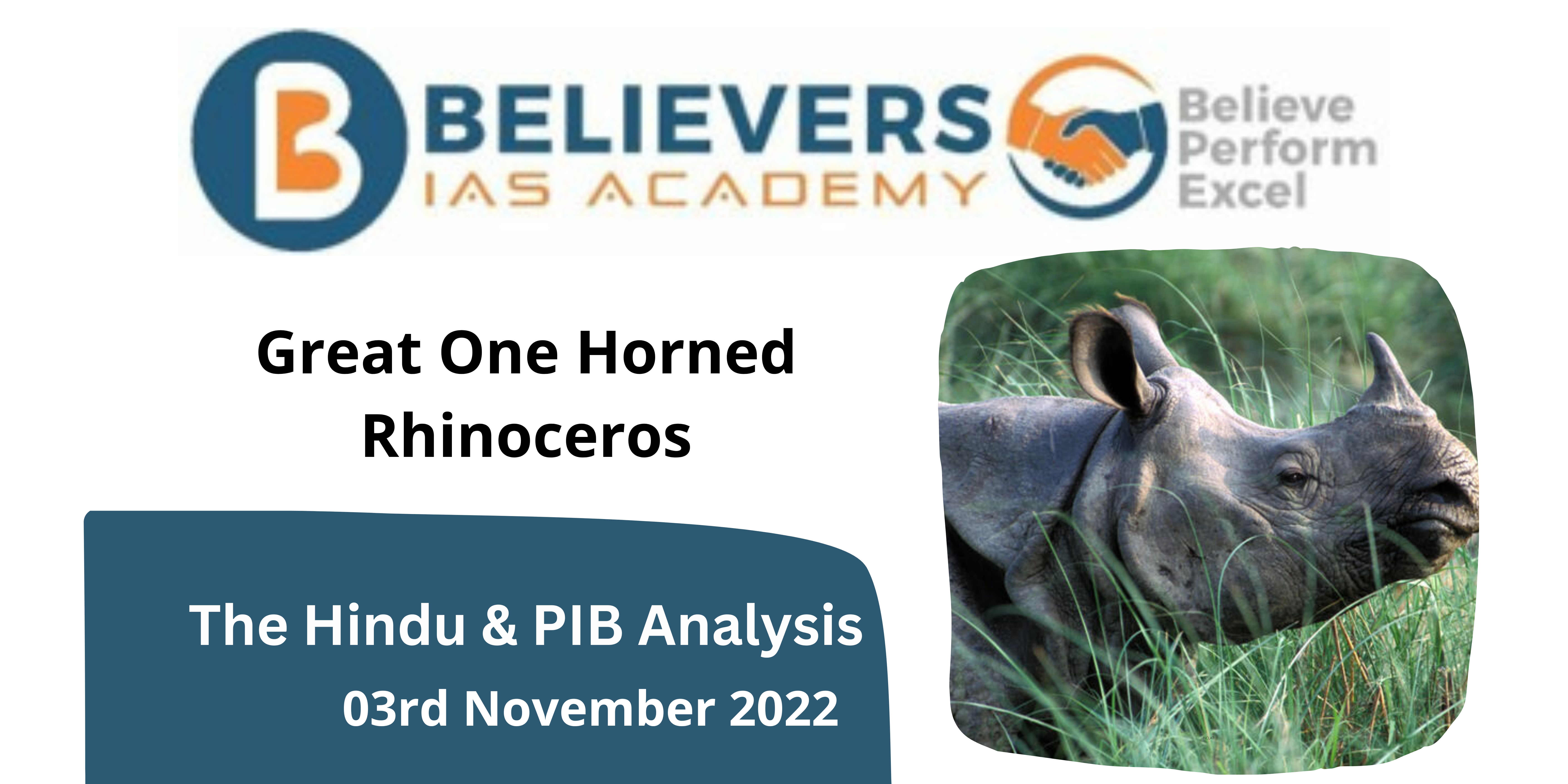 Great One Horned Rhinoceros