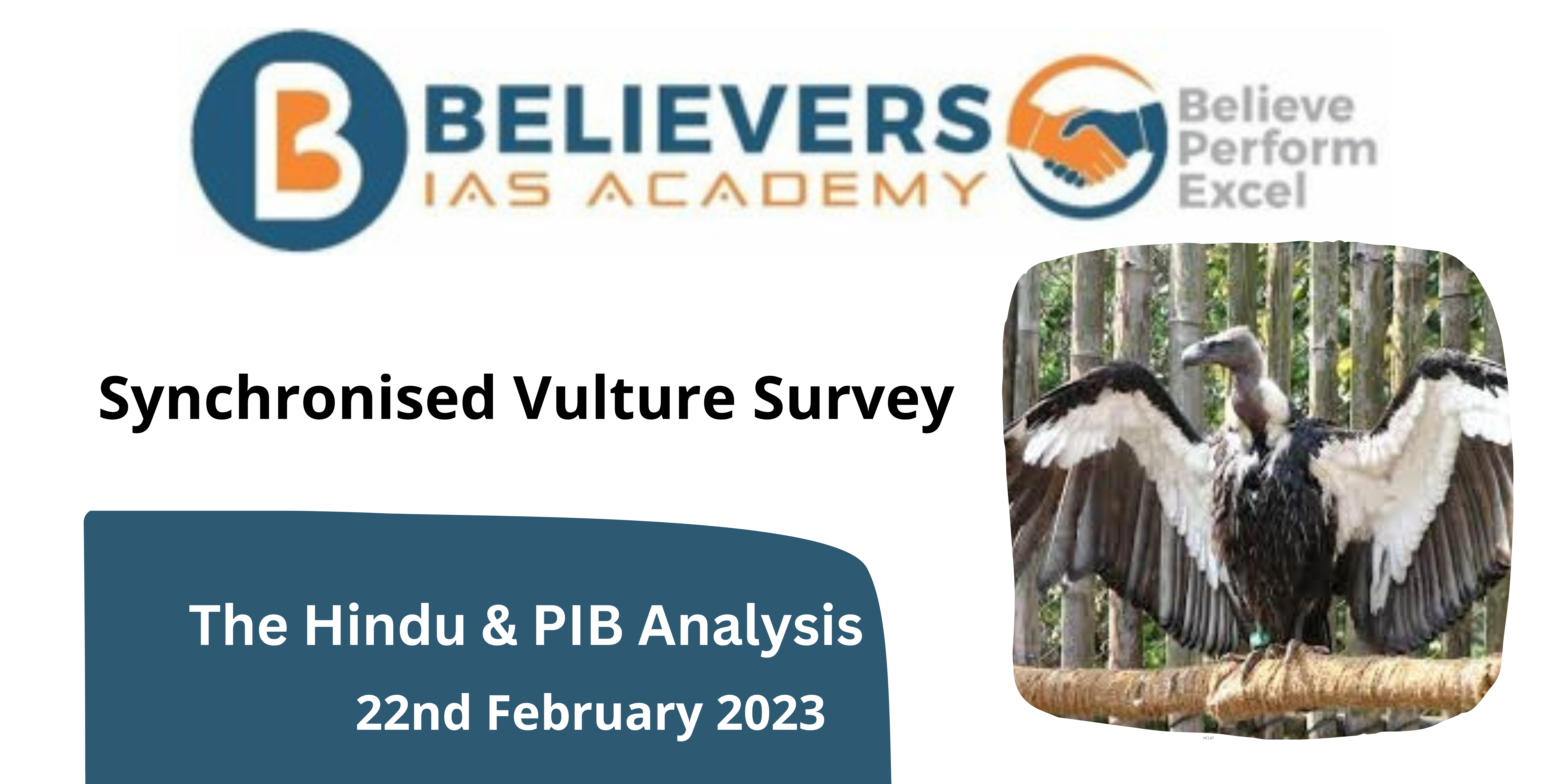 Synchronised Vulture Survey