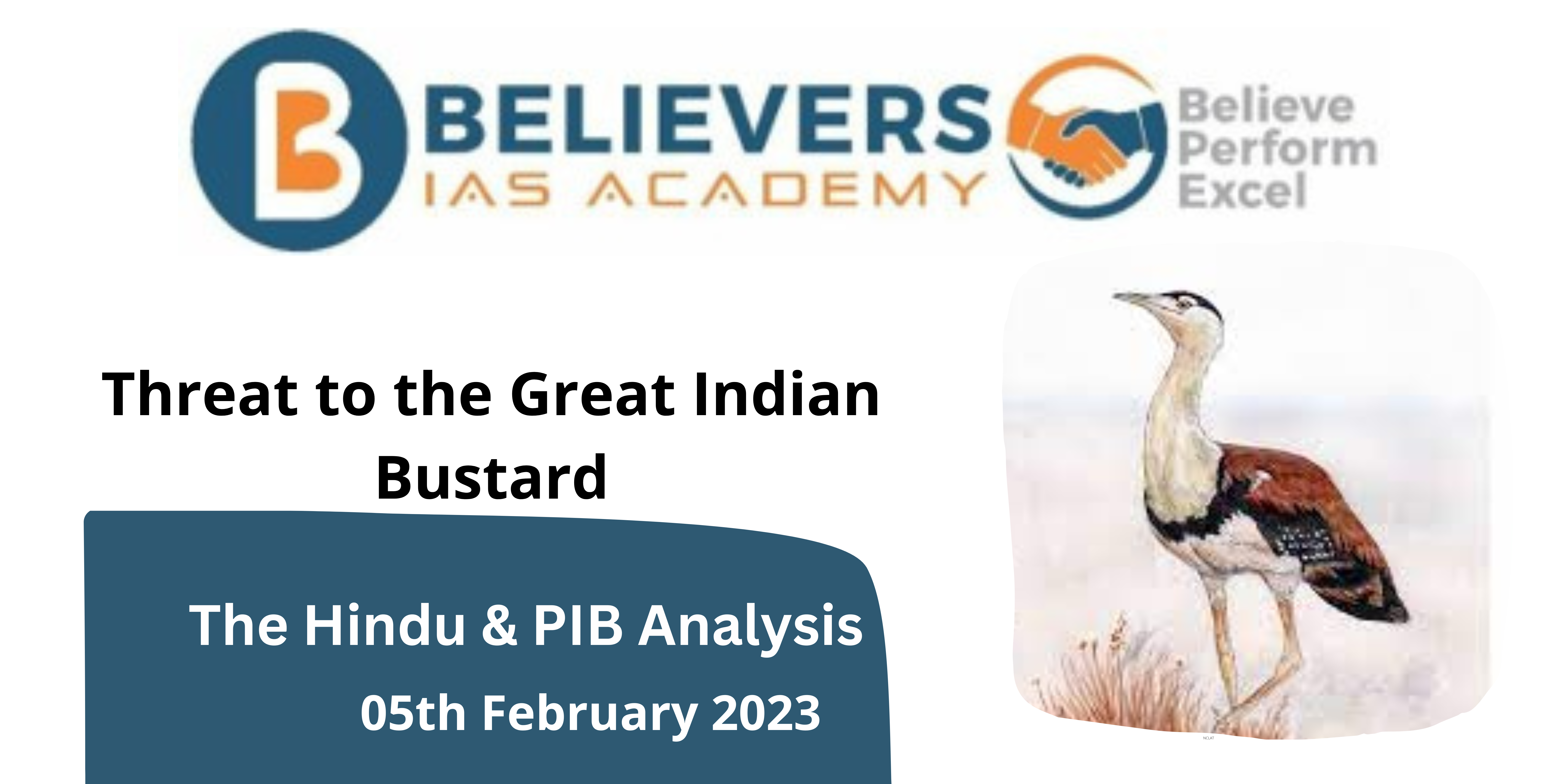 Threat to the Great Indian Bustard