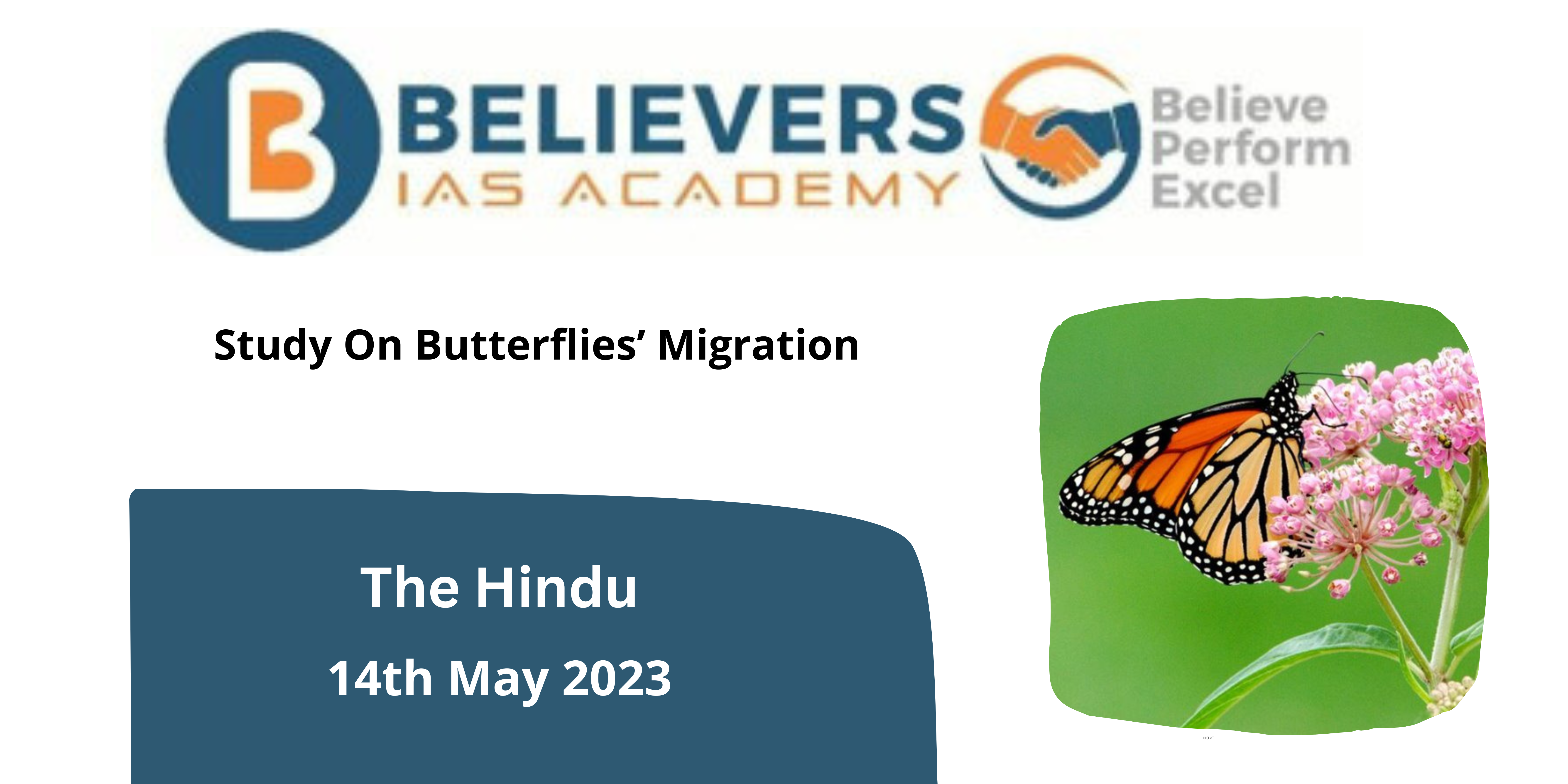 Study On Butterflies’ Migration