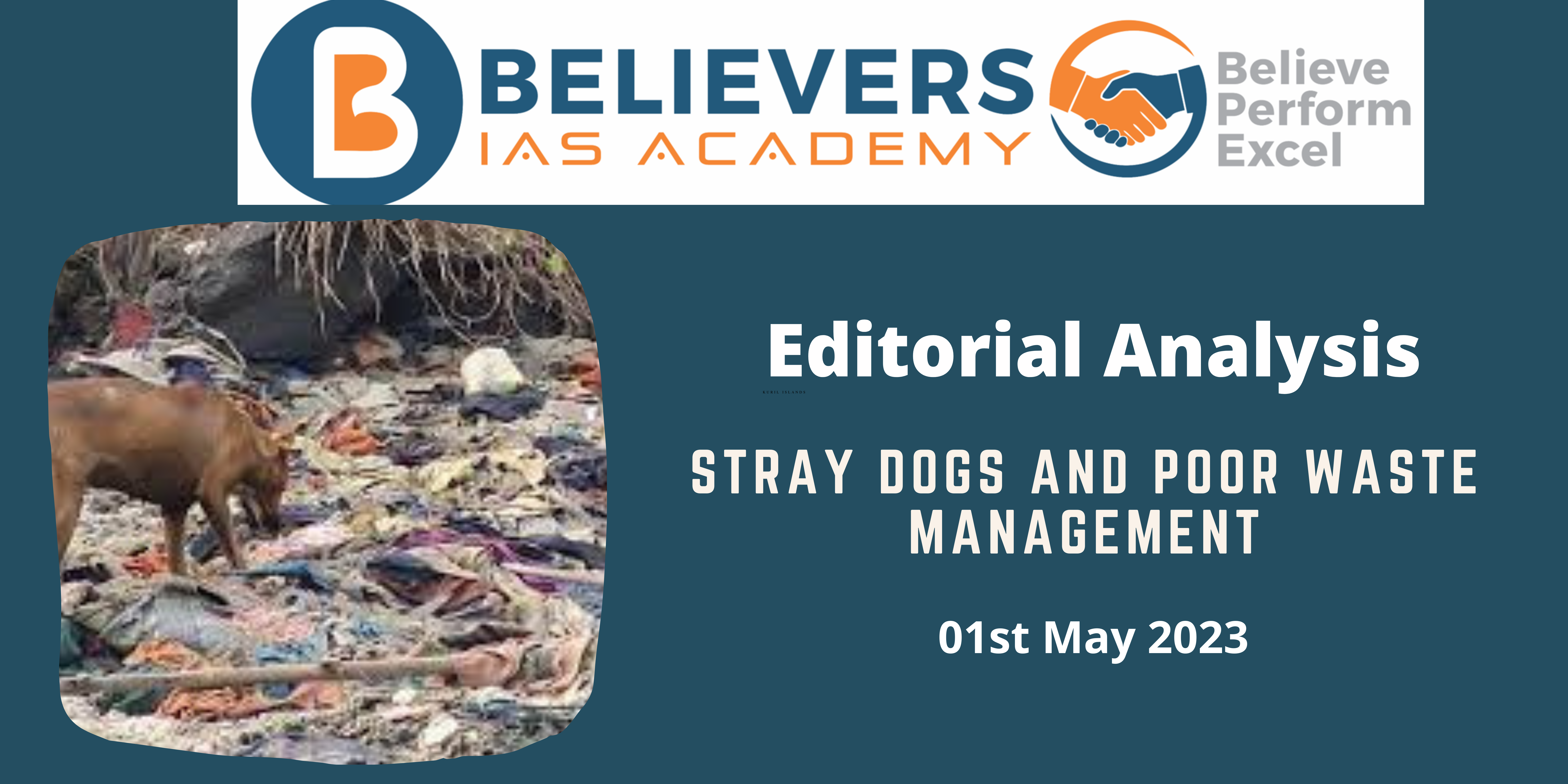Stray Dogs And Poor Waste Management