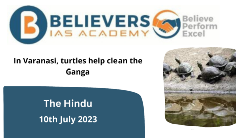 In Varanasi, turtles help clean the Ganga