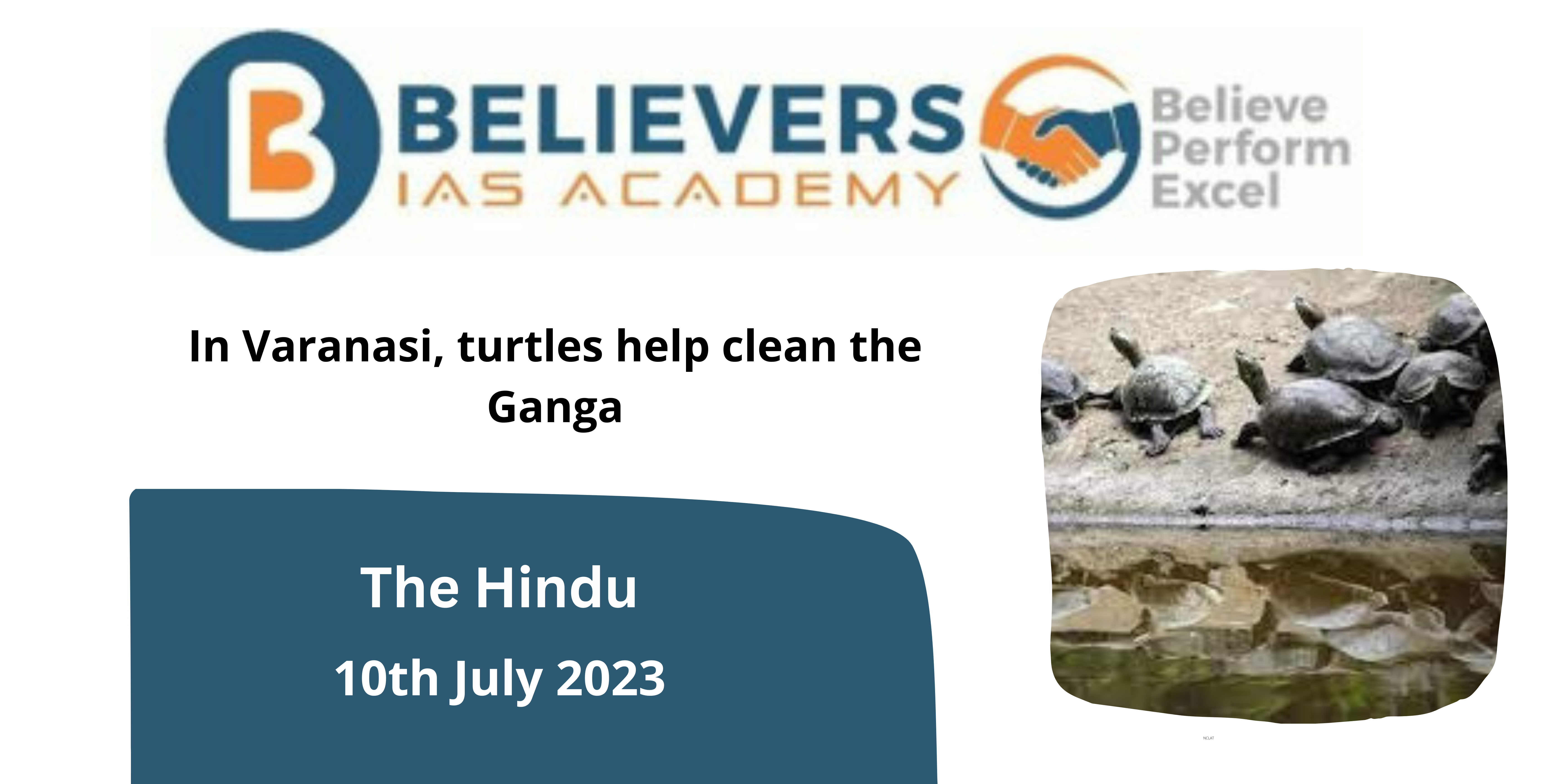 In Varanasi, turtles help clean the Ganga
