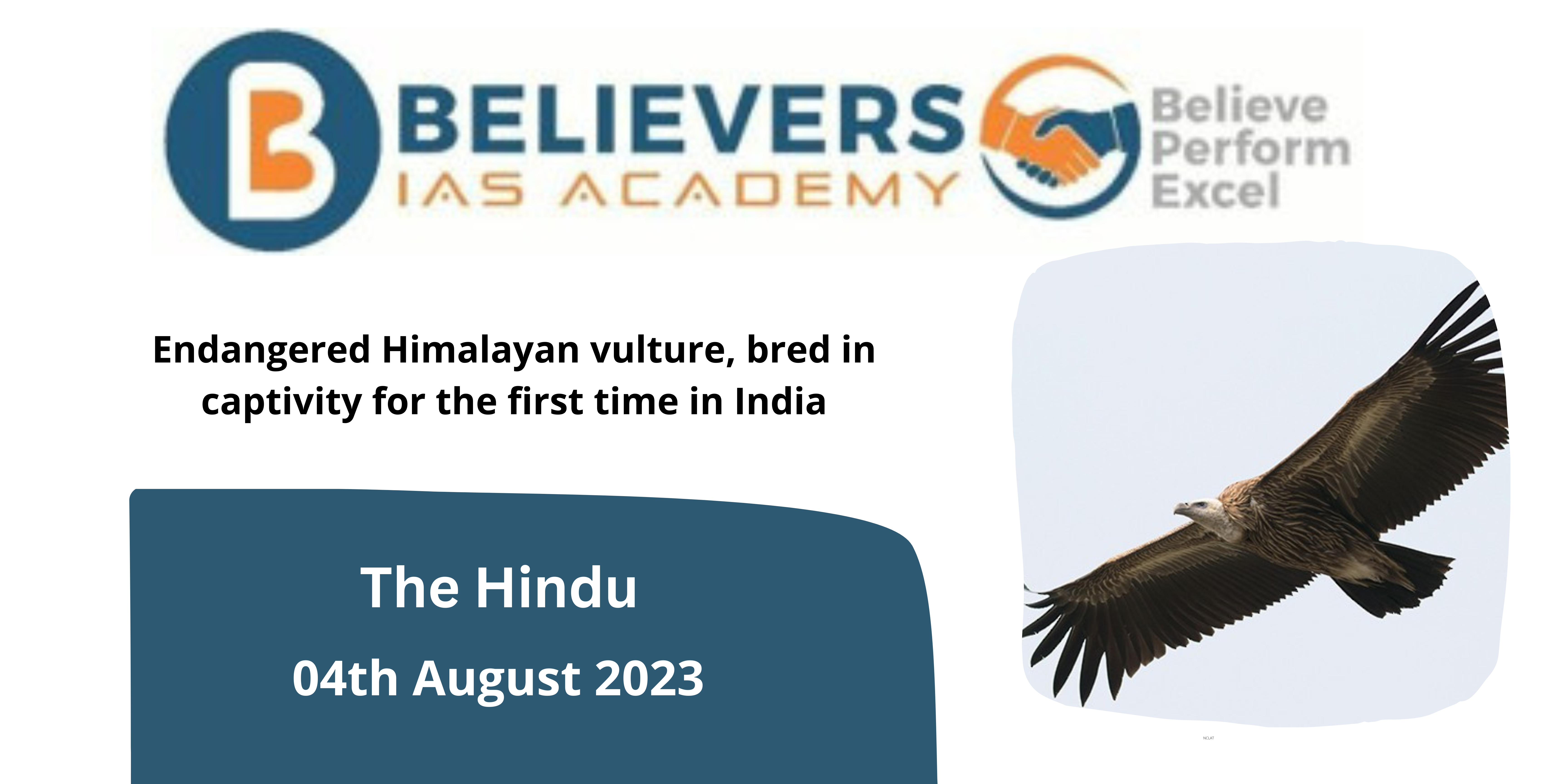 Endangered Himalayan vulture, bred in captivity for the first time in India