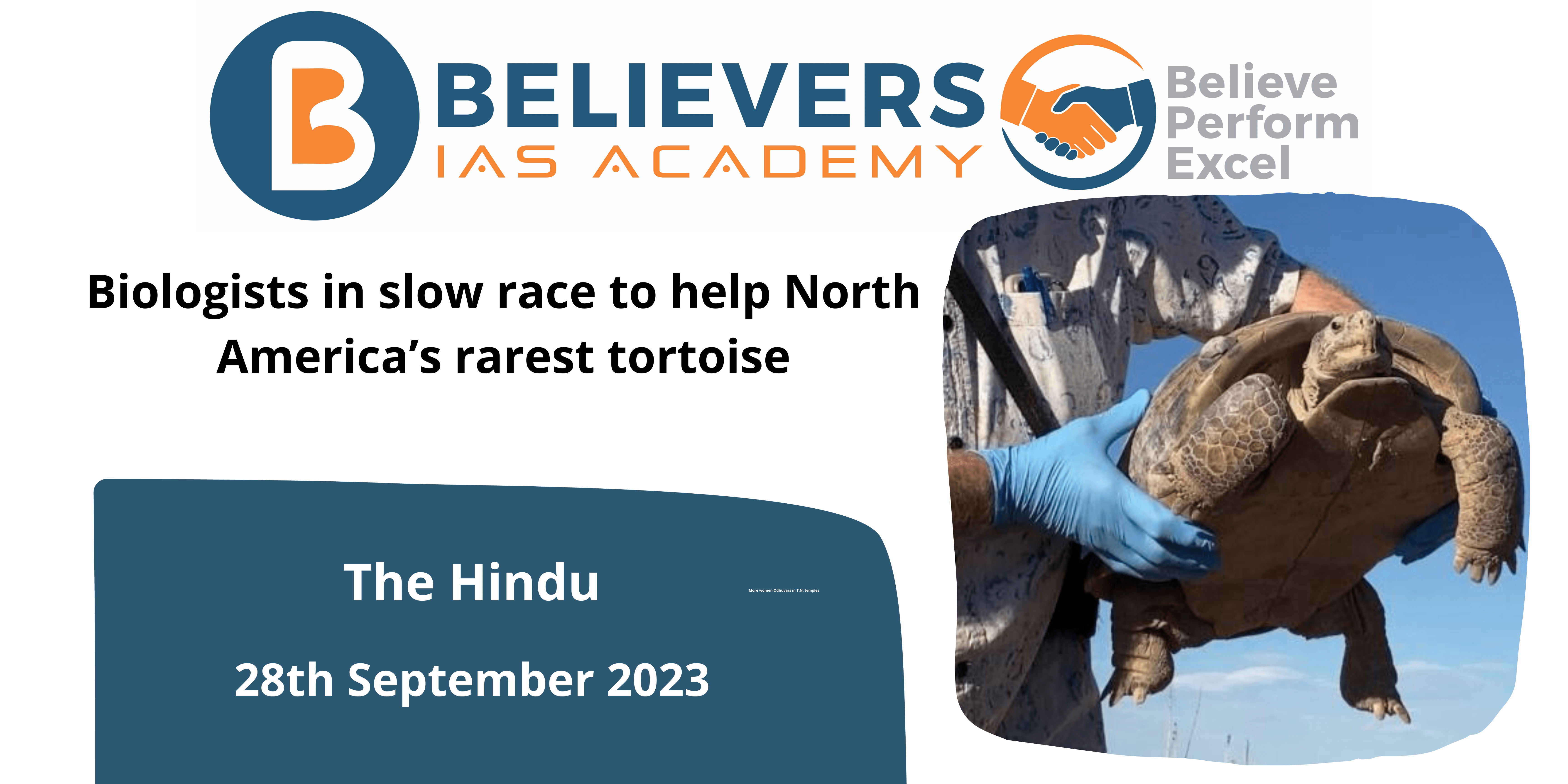 Biologists in slow race to help North America’s rarest tortoise